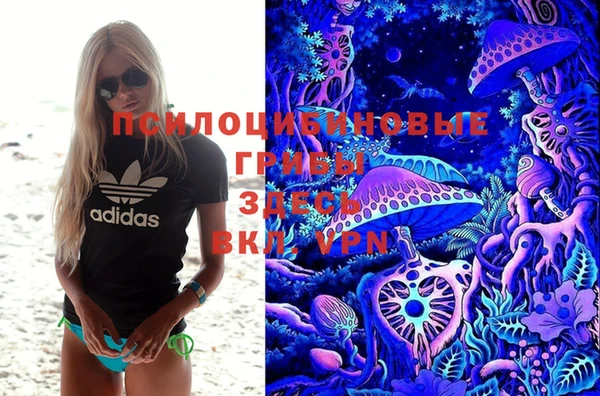 молекула духа Саяногорск
